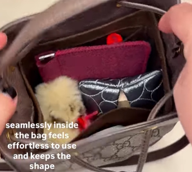 Perfect Fit: Gucci Ophidia Organizer by Samorga👍